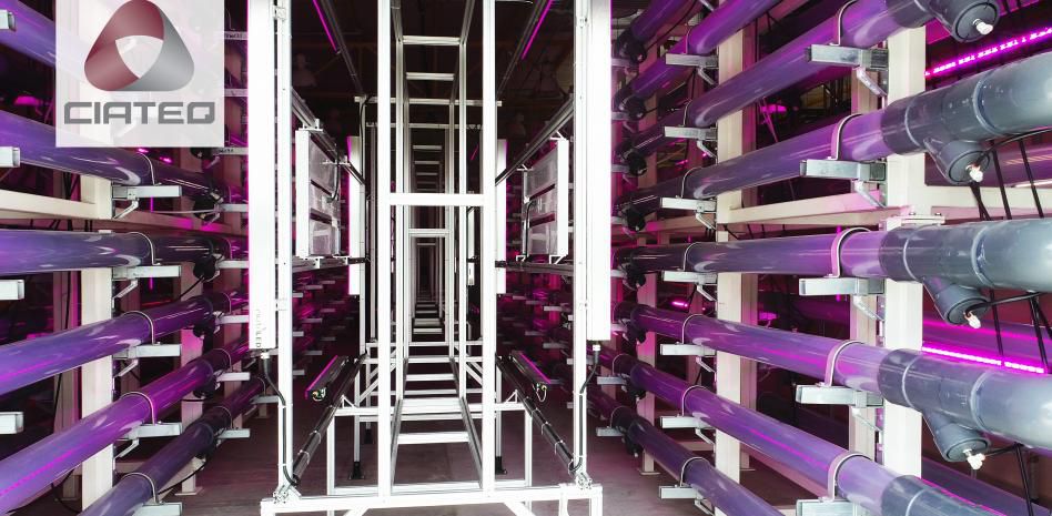 CIATEQ: un plan de acción a los retos nacionales